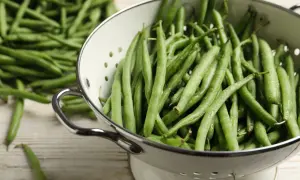 Haricots verts frais dans une passoire, prêts pour la cuisson. Une belle récolte verte pour un repas sain.