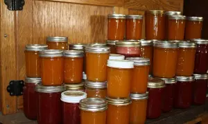 Des bocaux de confiture de coing, certains d'un rouge profond, d'autres d'un orange doré, empilés sur des étagères en bois.