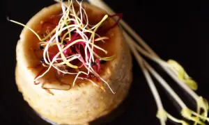 Un délicat flan de cuisson foie de volaille, garni de pousses colorées et de tiges de germes.