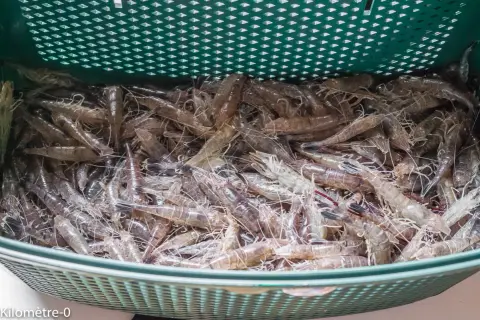 Un panier rempli de crevettes grises prêtes pour la cuisson.