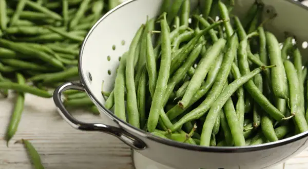Haricots verts frais dans une passoire, prêts pour la cuisson. Une belle récolte verte pour un repas sain.