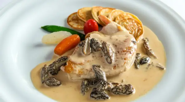 Un plat de poulet en sauce crémeuse avec des morilles, des mini-crêpes, des carottes et des petits pois. Le jus de poulet est riche et onctueux.