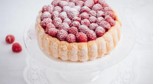 Charlotte aux framboises, un délice léger et fruité, ornée de fruits rouges frais et saupoudrée de sucre glace.
