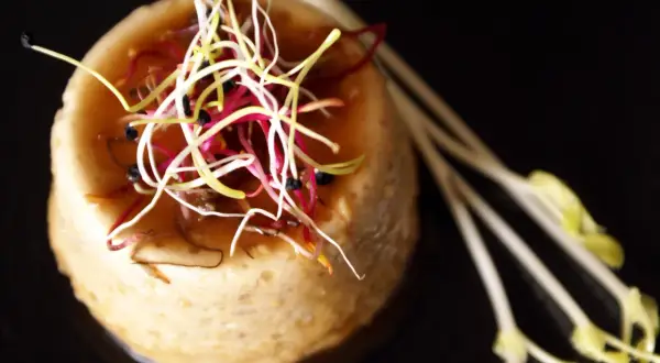 Un délicat flan de cuisson foie de volaille, garni de pousses colorées et de tiges de germes.