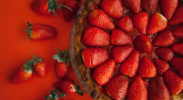 Tarte aux fraises sans crème pâtissière, garnie de fruits rouges frais sur fond rouge. Un délice simple et fruité.