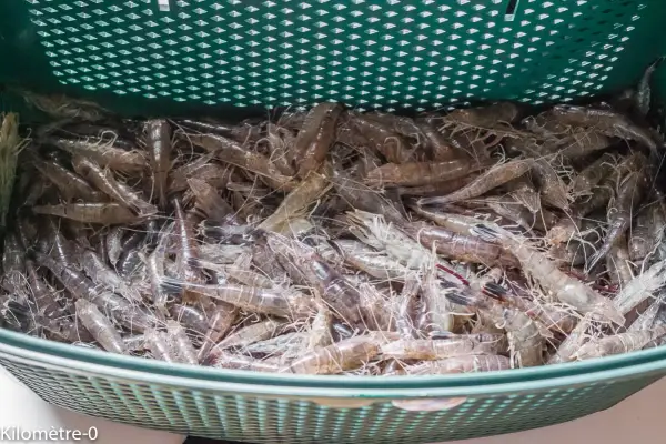 Un panier rempli de crevettes grises prêtes pour la cuisson.
